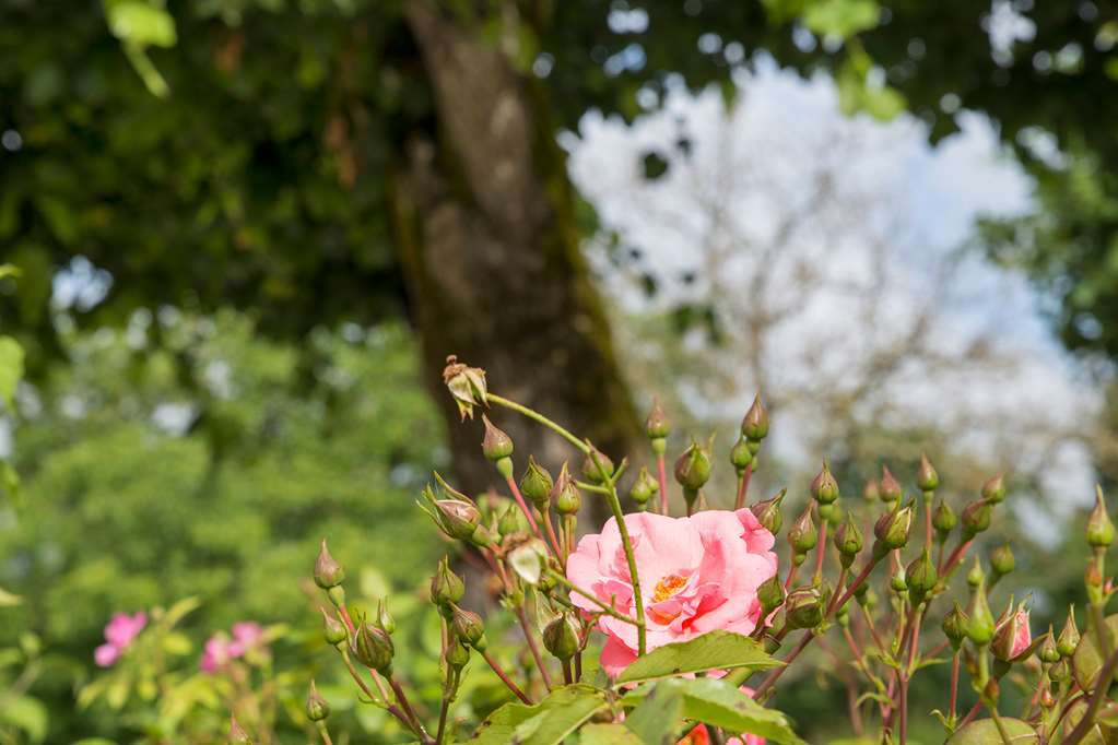 Hotel De La Ferme Lamy Meyrals エクステリア 写真